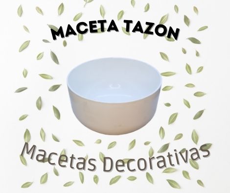 maceta_tazon